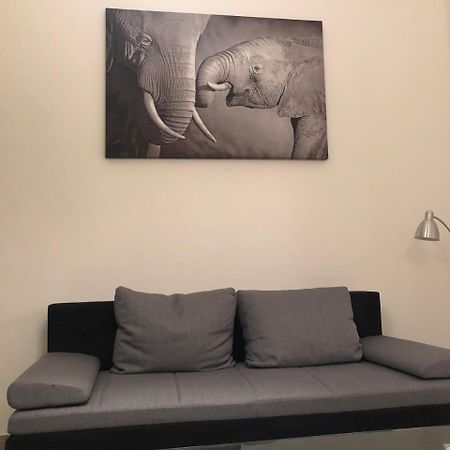Apartament The Urban Jungle By Gozsdu Budapeszt Zewnętrze zdjęcie